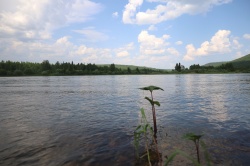 Памятка о безопасности на водоёмах в летний период. 