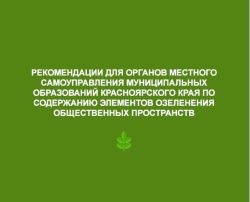 Опубликованы рекомендации по содержанию элементов озеленения общественных пространств