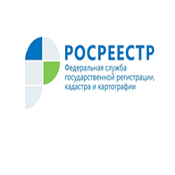 «Новые нормы позволят дачникам получить право на бесплатную приватизацию земельных участков»