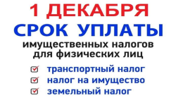  1 декабря 2022 – крайний срок уплаты физическими лицами имущественных налогов